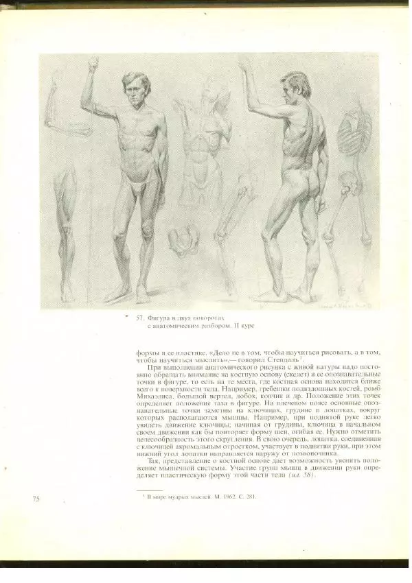  Коллектив авторов - Учебный рисунок - Страница № 76