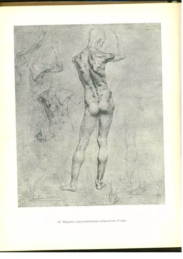  Коллектив авторов - Учебный рисунок - Страница № 77