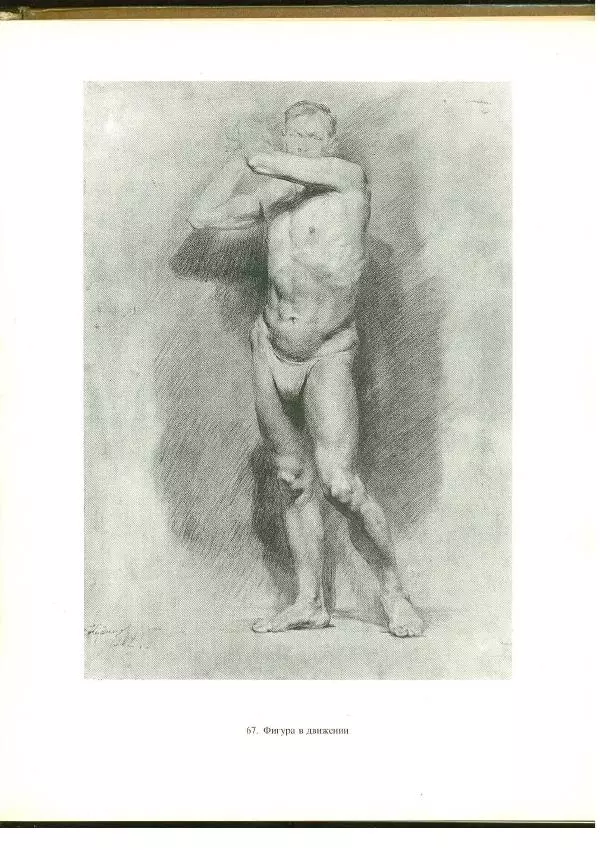  Коллектив авторов - Учебный рисунок - Страница № 88