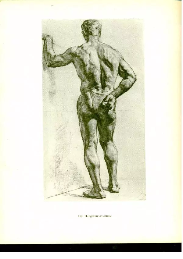  Коллектив авторов - Учебный рисунок - Страница № 141