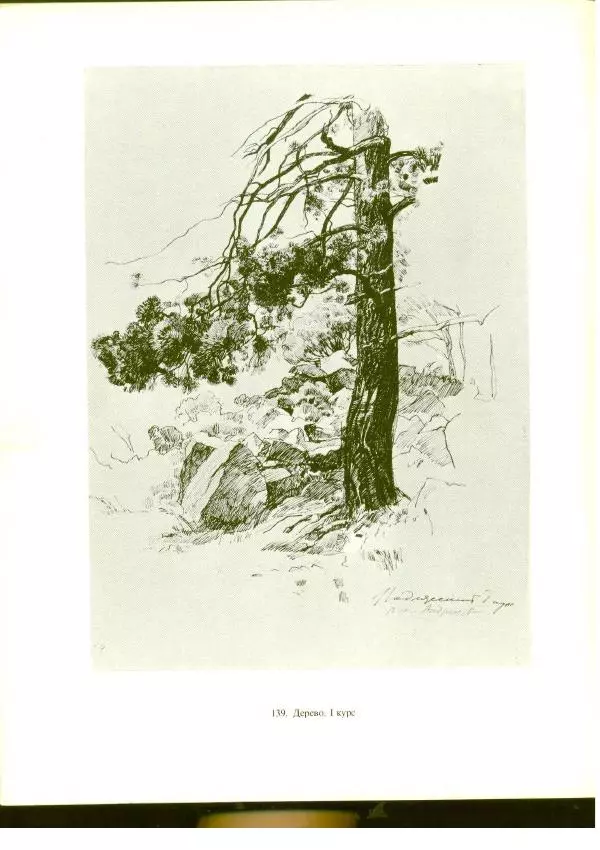  Коллектив авторов - Учебный рисунок - Страница № 174