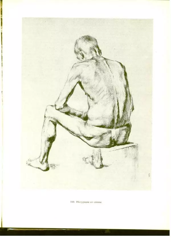  Коллектив авторов - Учебный рисунок - Страница № 195