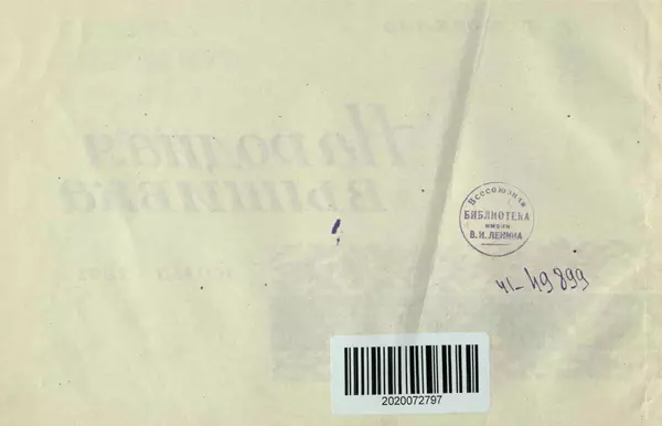 В. Козелло - Народная вышивка - Страница № 10