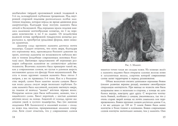 Алексей Тихонов - Мамонт - Страница № 9