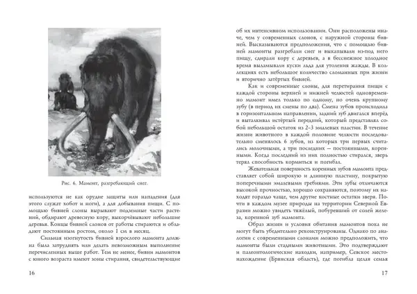 Алексей Тихонов - Мамонт - Страница № 10