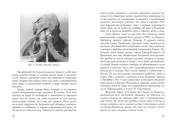 Алексей Тихонов - Мамонт - Страница № 13