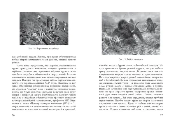 Алексей Тихонов - Мамонт - Страница № 20