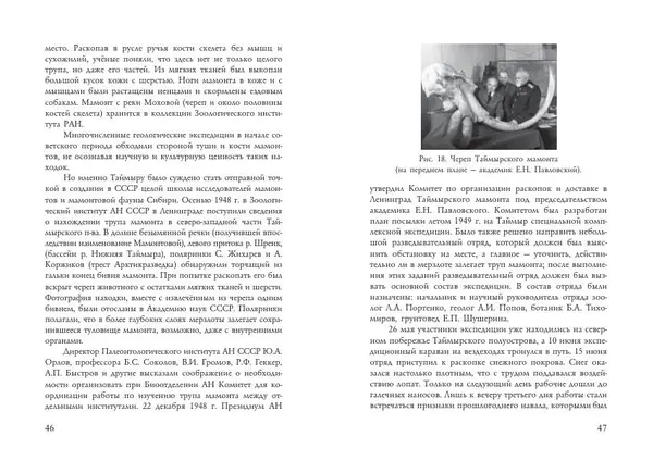 Алексей Тихонов - Мамонт - Страница № 25