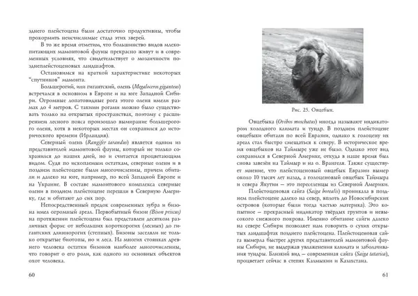 Алексей Тихонов - Мамонт - Страница № 32