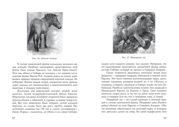 Алексей Тихонов - Мамонт - Страница № 33