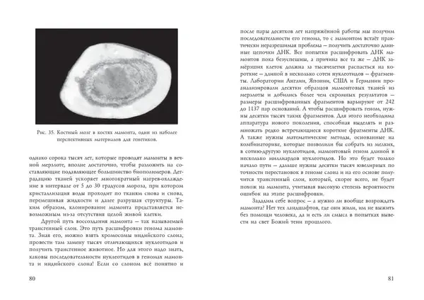 Алексей Тихонов - Мамонт - Страница № 42