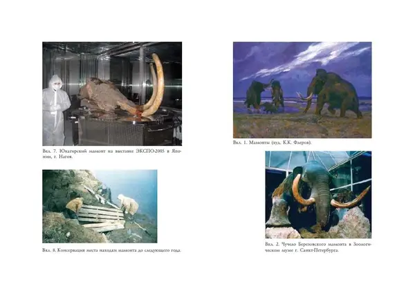 Алексей Тихонов - Мамонт - Страница № 49