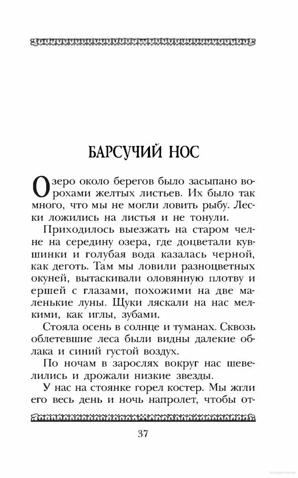 Юрий Коваль - Чёрный соболь, Недопёсок и другие... - Страница № 42