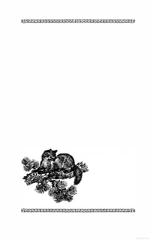 Юрий Коваль - Чёрный соболь, Недопёсок и другие... - Страница № 303