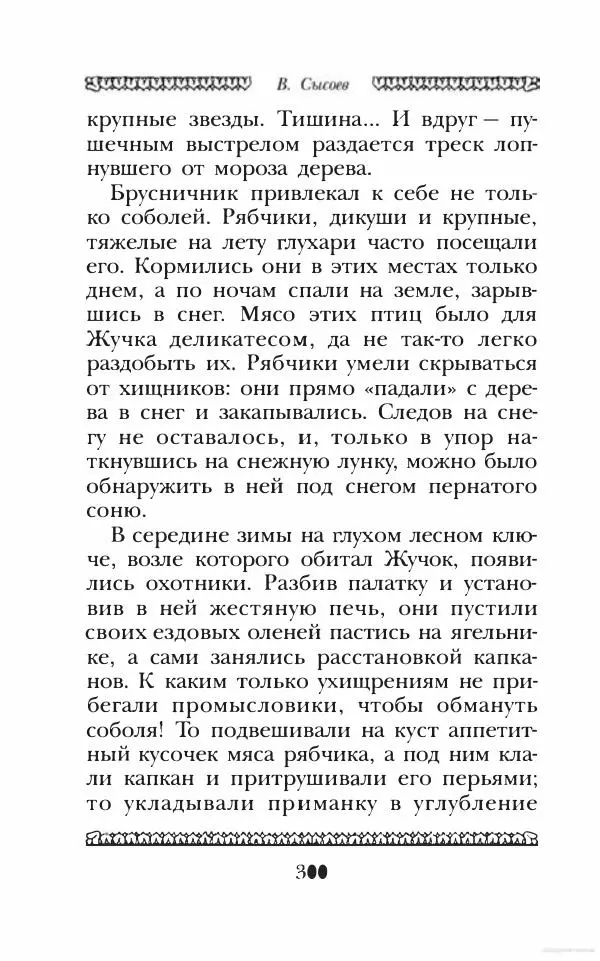 Юрий Коваль - Чёрный соболь, Недопёсок и другие... - Страница № 313