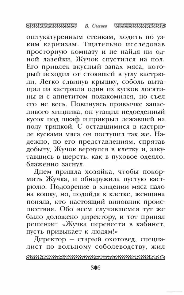 Юрий Коваль - Чёрный соболь, Недопёсок и другие... - Страница № 319