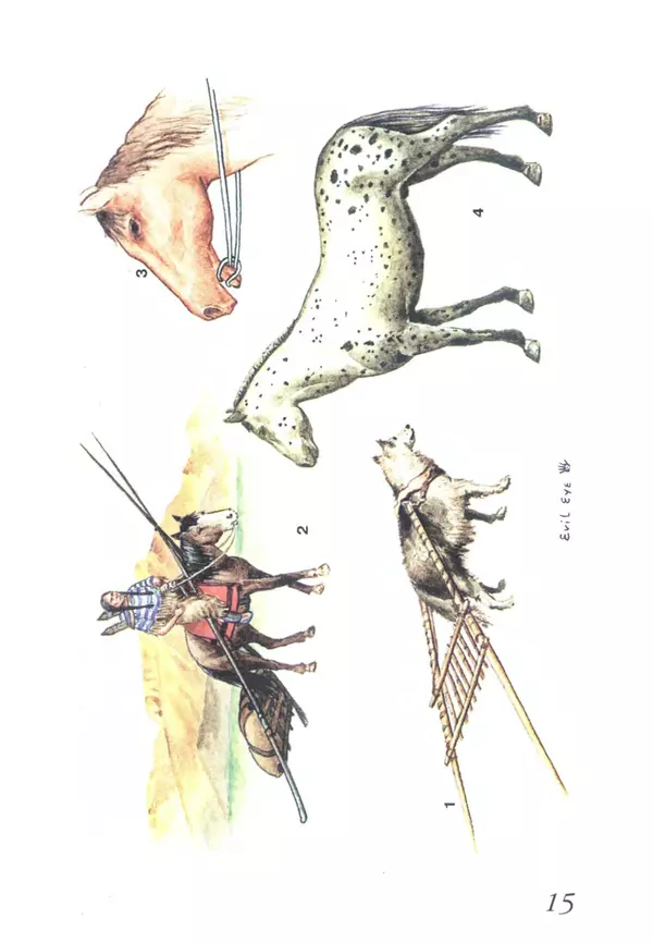 Юрий Котенко - Индейцы Великих равнин - Страница № 19 Юрий Котенко - Индейцы Великих равнин - Страница № 19