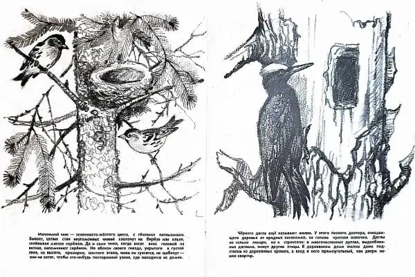  - Птичьи этажи - Страница № 9