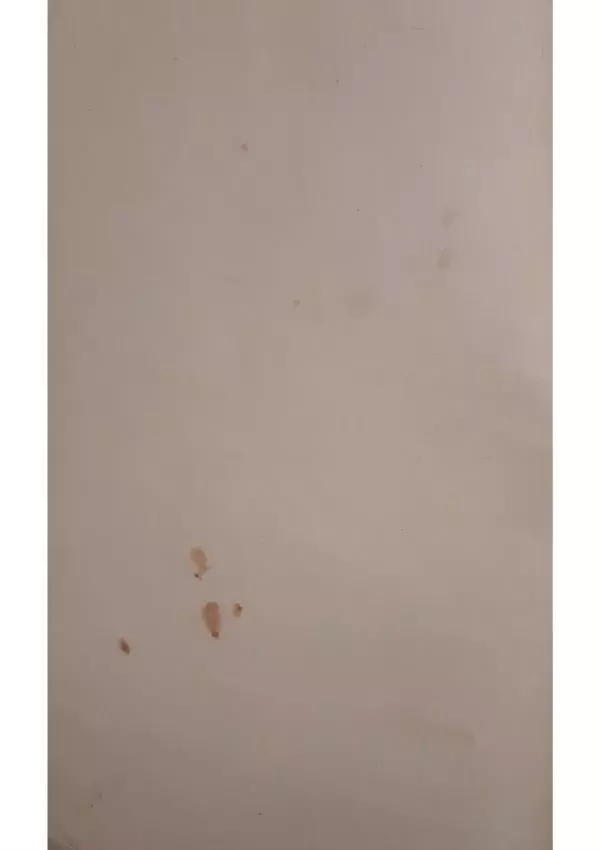 Николай Котляр - Київська Русь – колиска трьох братніх народів - Страница № 2