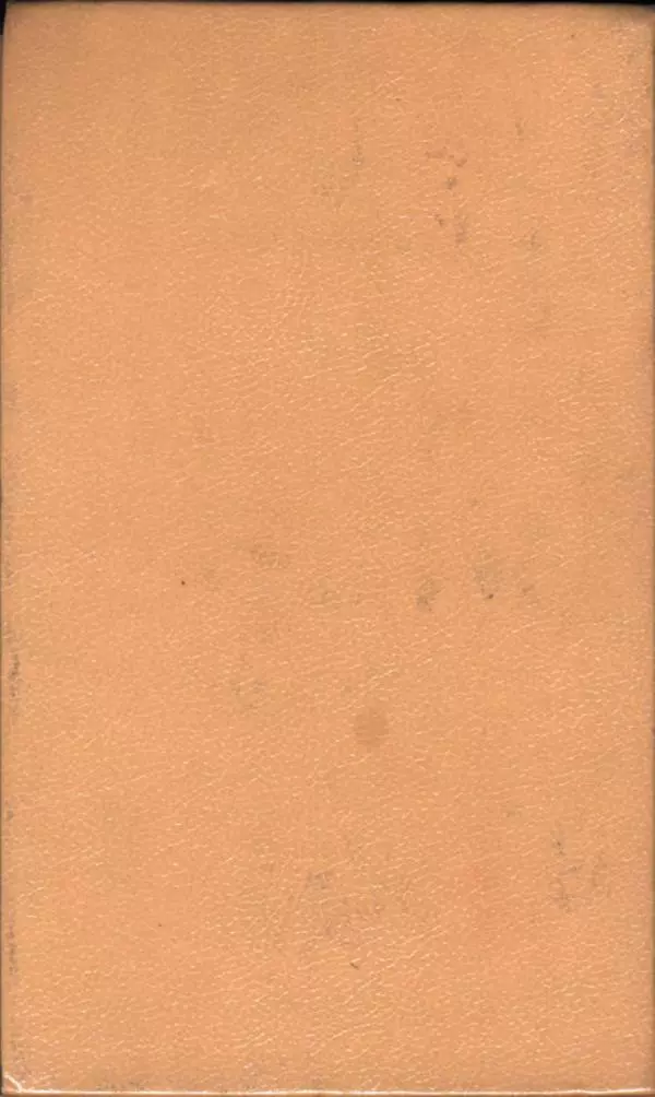 Мэри Стюарт - Для спящих ночь, для стражи день...: И девять ждут тебя карет. Для спящих ночь, для стражи день... - Страница № 2