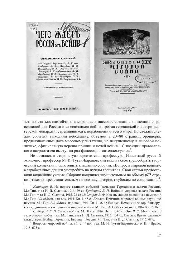 Ирина Чикалова - (Не)забытая война: Первая мировая война в документах, публицистике, воспоминаниях и исследованиях современников (1914-1941) - Страница № 18
