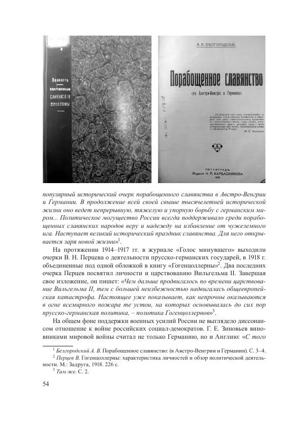 Ирина Чикалова - (Не)забытая война: Первая мировая война в документах, публицистике, воспоминаниях и исследованиях современников (1914-1941) - Страница № 55