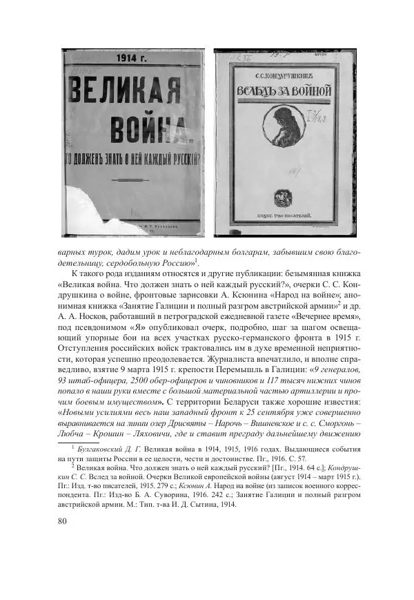 Ирина Чикалова - (Не)забытая война: Первая мировая война в документах, публицистике, воспоминаниях и исследованиях современников (1914-1941) - Страница № 81