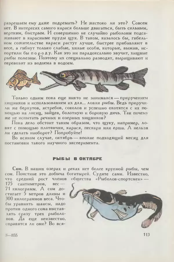 Мануил Семенов - Год рыболова - Страница № 113