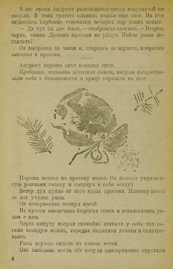 Евгений Чарушин - Мурзук - Страница № 8