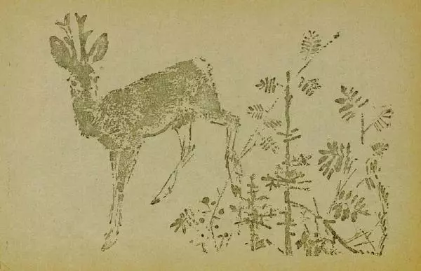 Евгений Чарушин - Мурзук - Страница № 9