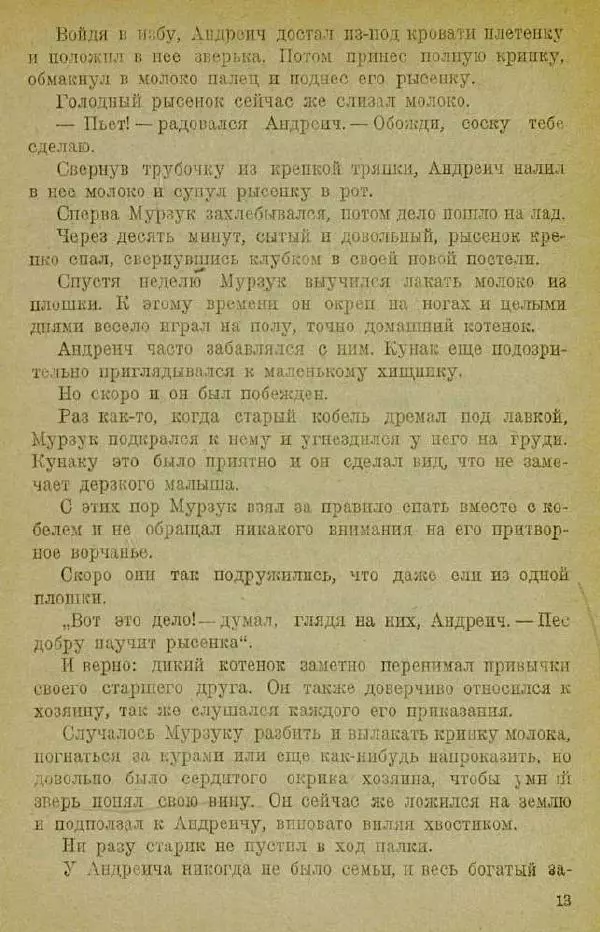 Евгений Чарушин - Мурзук - Страница № 17