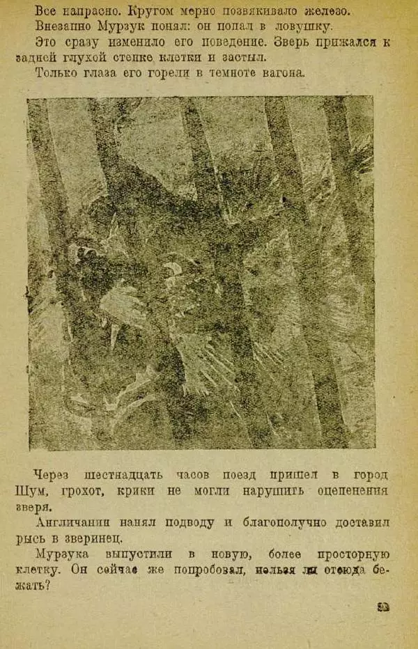 Евгений Чарушин - Мурзук - Страница № 27