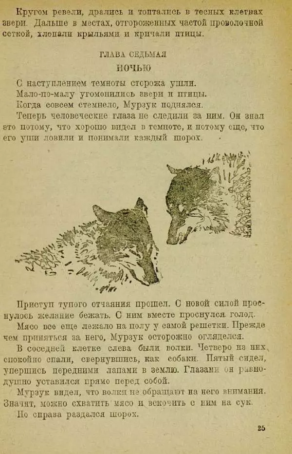 Евгений Чарушин - Мурзук - Страница № 29
