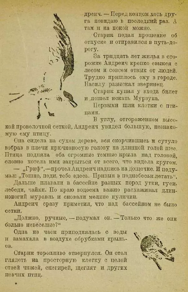 Евгений Чарушин - Мурзук - Страница № 39