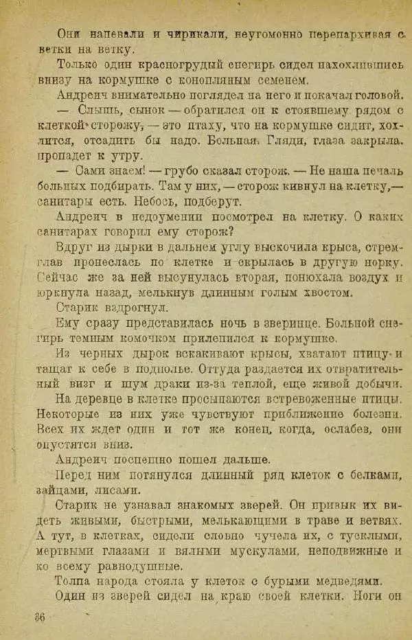 Евгений Чарушин - Мурзук - Страница № 40