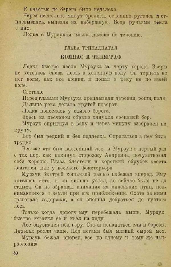 Евгений Чарушин - Мурзук - Страница № 54