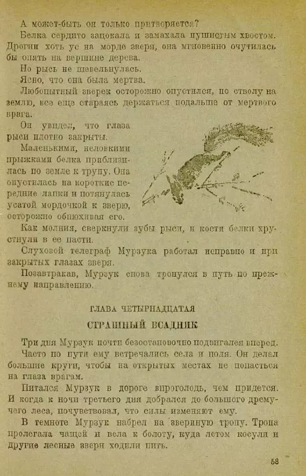 Евгений Чарушин - Мурзук - Страница № 57