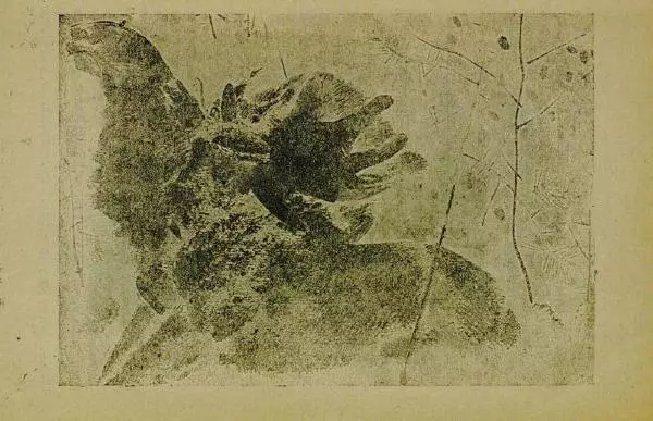 Евгений Чарушин - Мурзук - Страница № 59