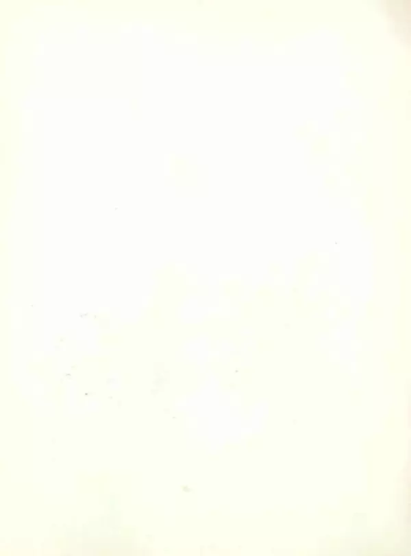 Зинаида Александрова - Сарафанчик - Страница № 2