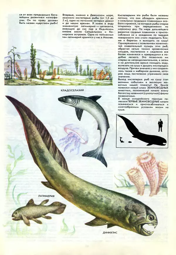  - Календарь школьника 1988 - Страница № 61