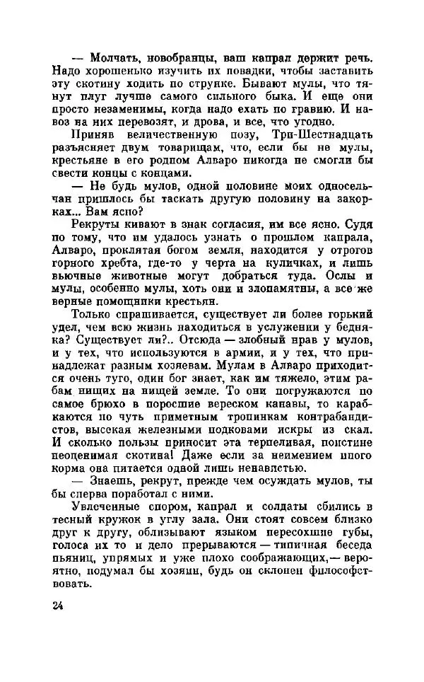 Жозе Пирес - Гость Иова - Страница № 29