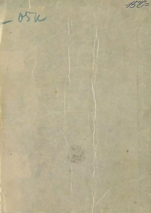 Е. Яхонтов - Вася носильщик - Страница № 23