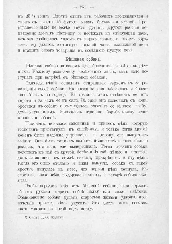  Баденъ-Пауль - Юный разведчик - Страница № 265