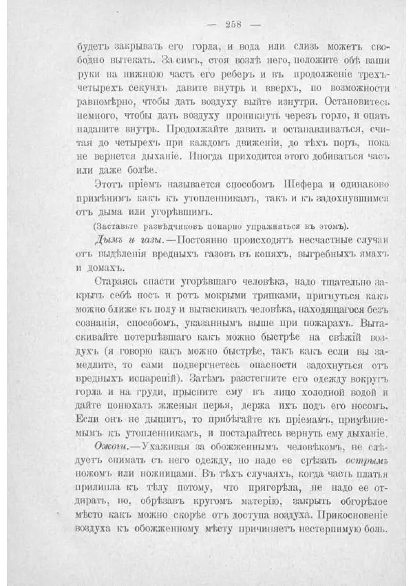  Баденъ-Пауль - Юный разведчик - Страница № 268
