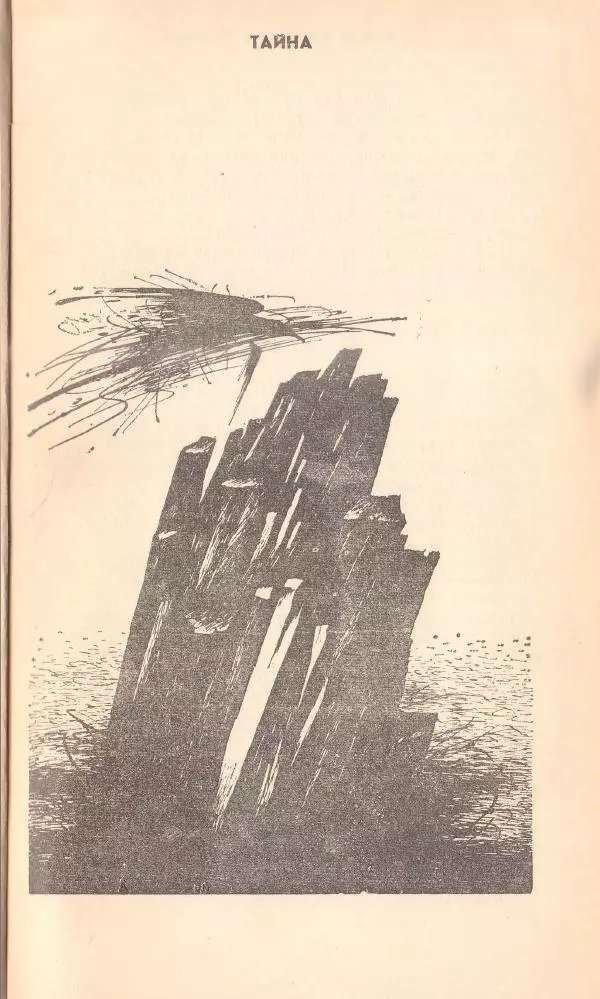 Борис Медовой - Тайна - Страница № 4