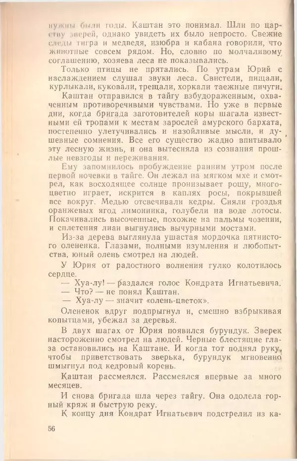 Борис Медовой - Тайна - Страница № 57