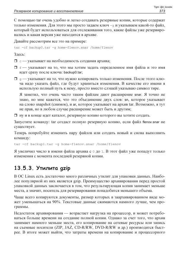 Михаил Флёнов - Linux глазами хакера - Страница № 374