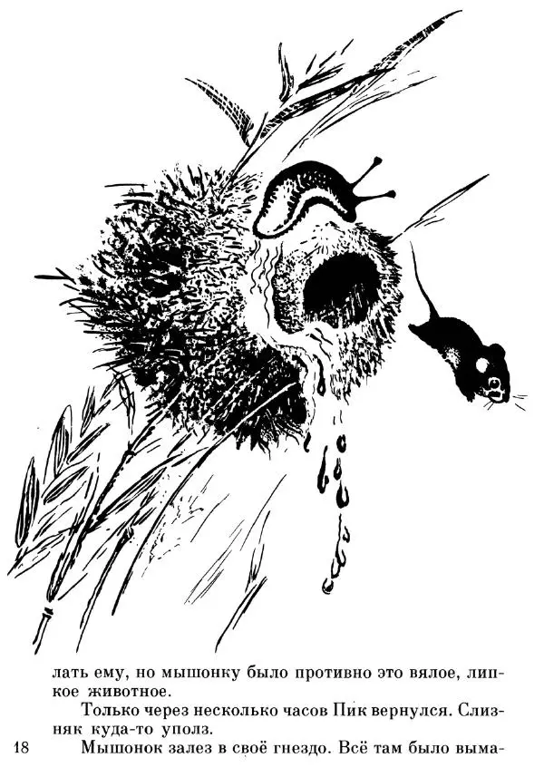 Евгений Чарушин - Мышонок Пик - Страница № 19 Евгений Чарушин - Мышонок Пик - Страница № 19