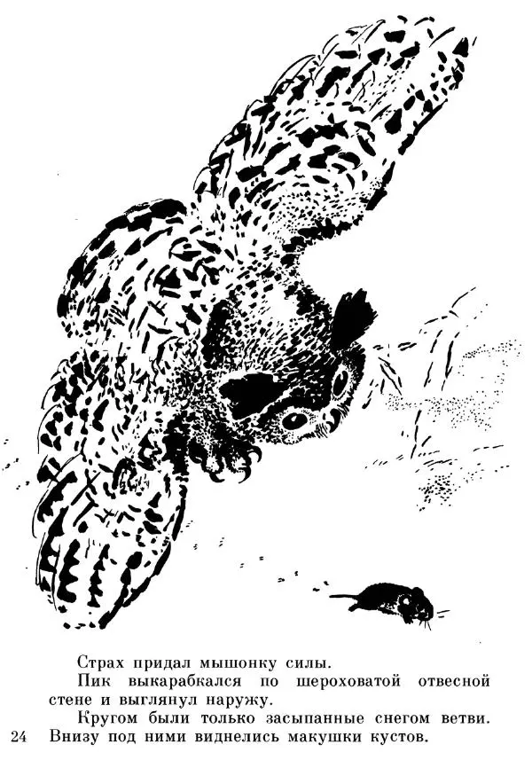 Евгений Чарушин - Мышонок Пик - Страница № 25 Евгений Чарушин - Мышонок Пик - Страница № 25