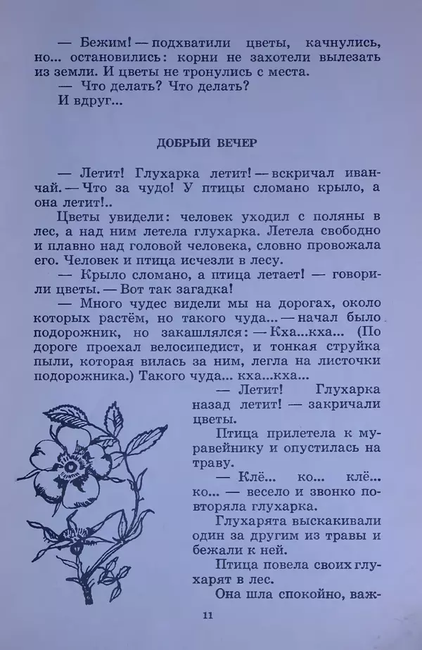 Владимир Брагин - Оранжевое кружево - Страница № 12